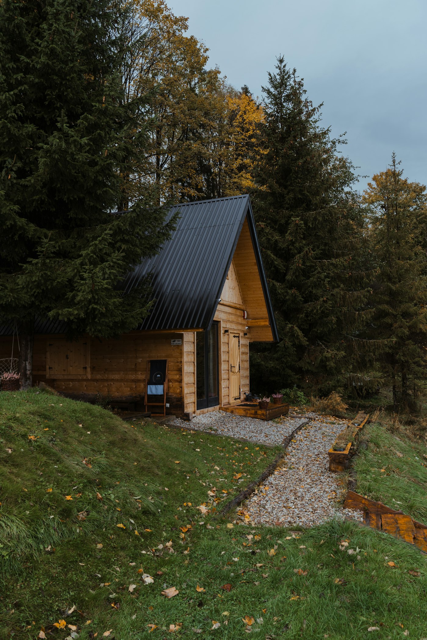 Petite cabane en bois au milieu des sapins (photo d'illustration)